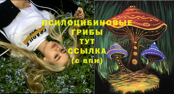 мдпв Абинск