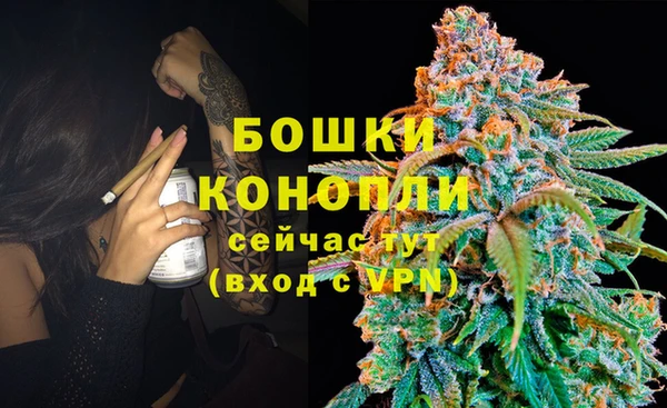 гашик Абаза