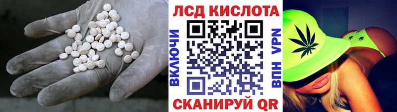 дарнет шоп  Торопец  ЛСД экстази кислота 
